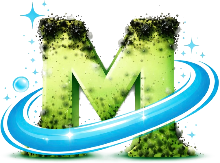 Ecomold Clean logo